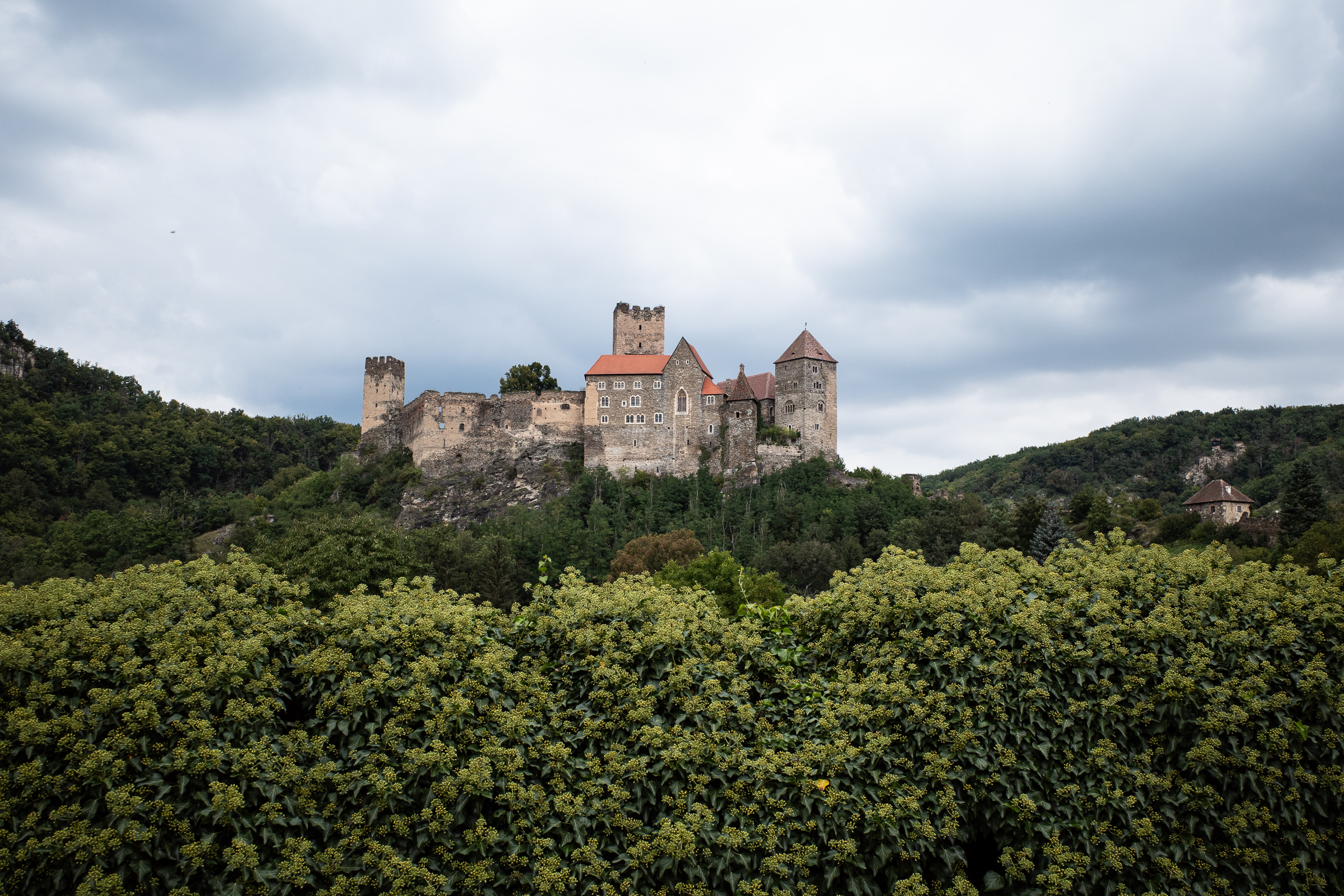 Die Burg Hardegg thront über dem bewaldeten Thayatal